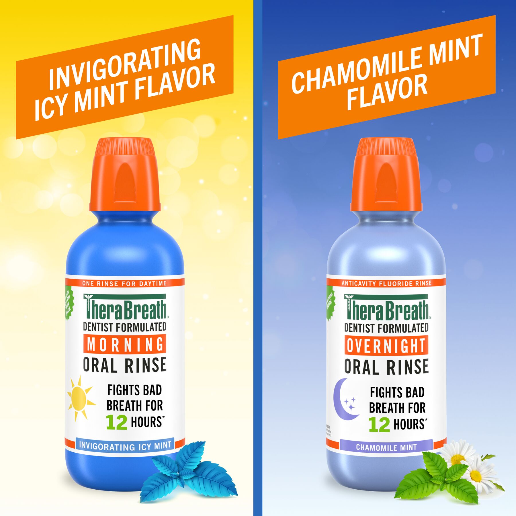 TheraBreath AM + PM Mouthwash Bundle, Morning & Overnight Rinses, 16 fl oz, 2-Pack